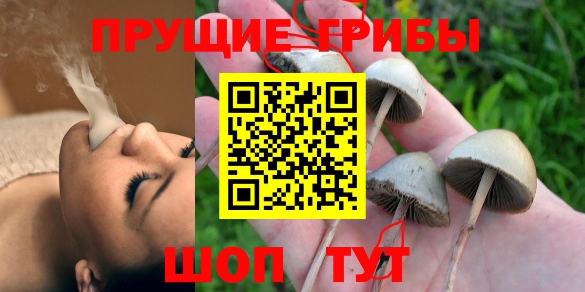 Галлюциногенные грибы мухоморы  Псилоцибиновые грибы GOLDEN TEACHER  Вход с VPN  Салехард 