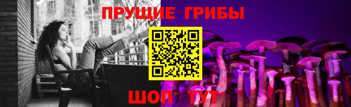 Псилоцибиновые грибы Psilocybe Салехард